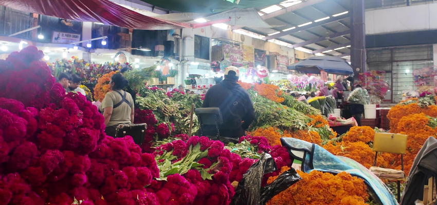 lajpat-nagar-market